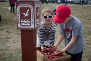 Nantucket Cranberry Festival 2016