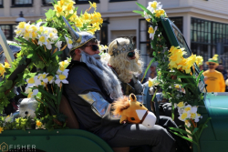Nantucket Daffodil Festival - Fisher Real Estate-53