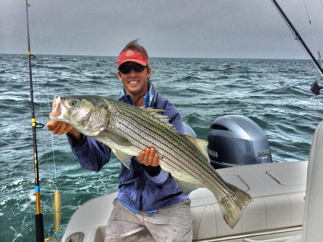 Nantucket Fishing Report: July 2016 - Fisher Real Estate Nantucket