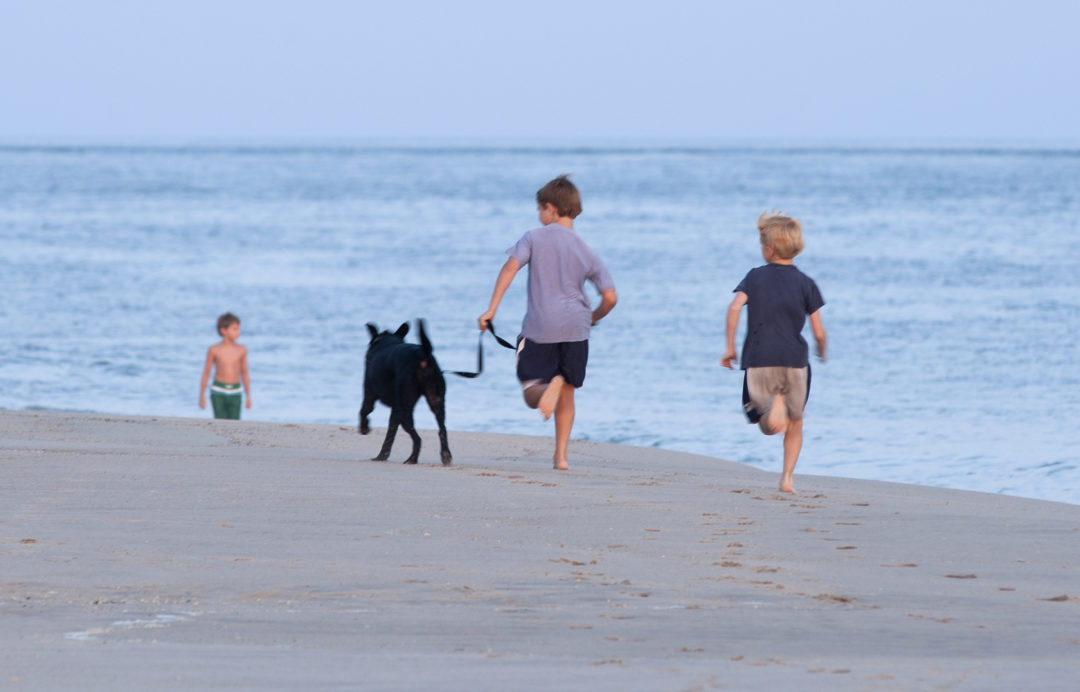 What You Need to Know About Booking a Nantucket Ferry Reservation for