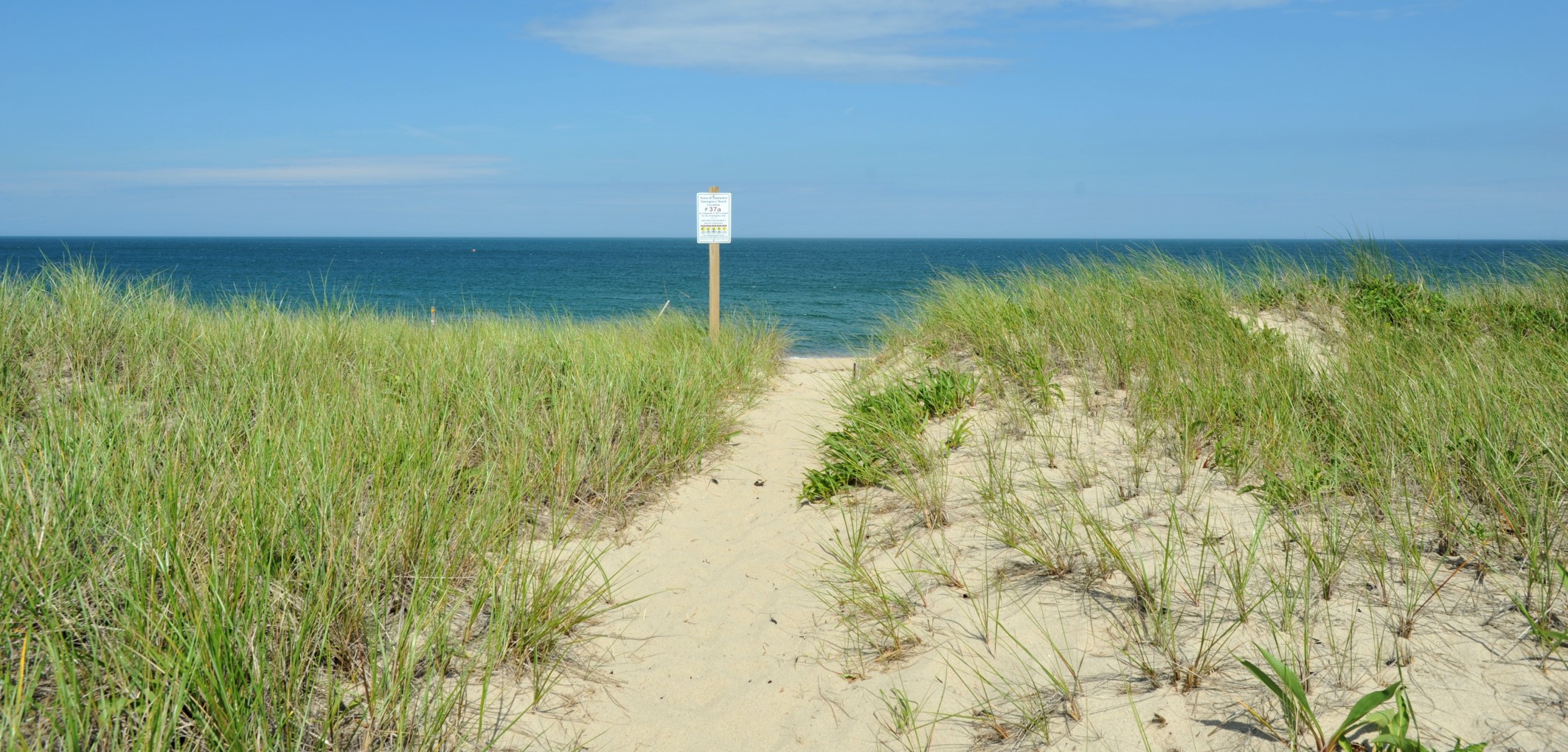 lyme disease nantucket