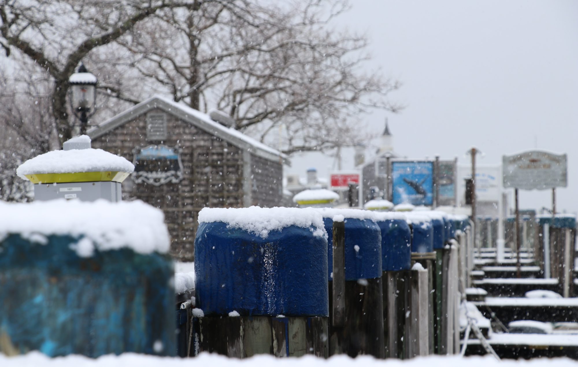 Nantucket Snow Day Photo Album - Fisher Real Estate Nantucket