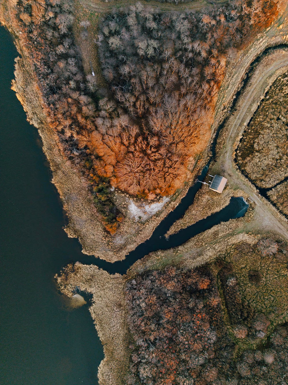 unnamed image