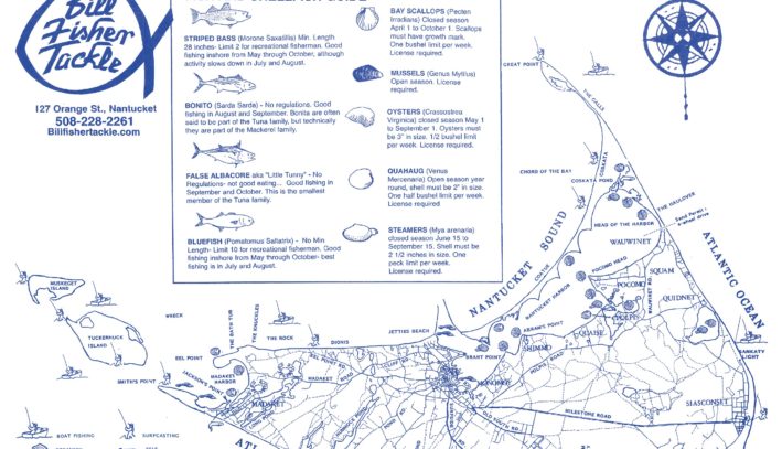 Nantucket Tide Chart