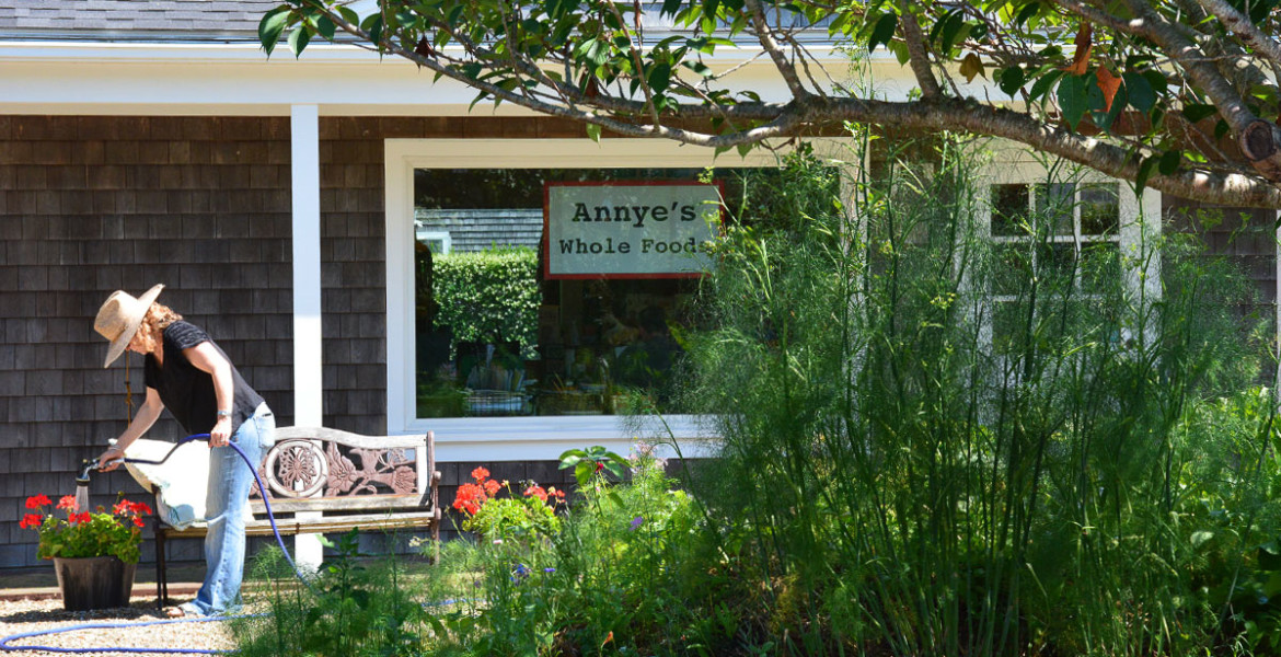 Mid Island 14 Amelia Drive Fisher Real Estate Nantucket