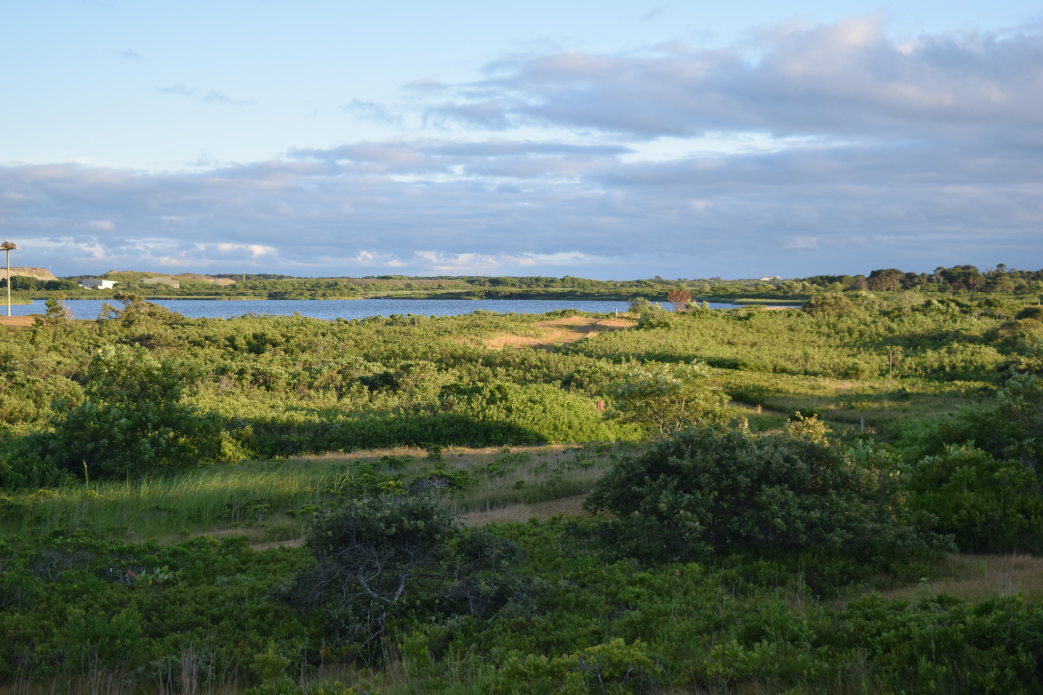Linda Loring Nature Foundation - Fisher Real Estate Nantucket