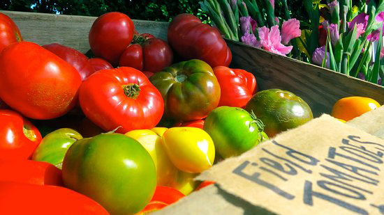 field tomatoes sitting in a farmer's market box from bartlett's farm nantucket