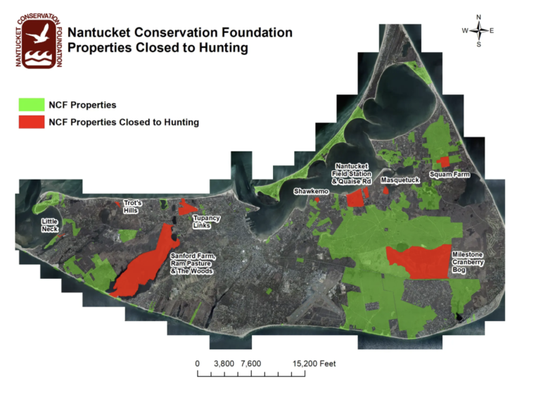 Staying Safe During Hunting Season Fisher Real Estate Nantucket