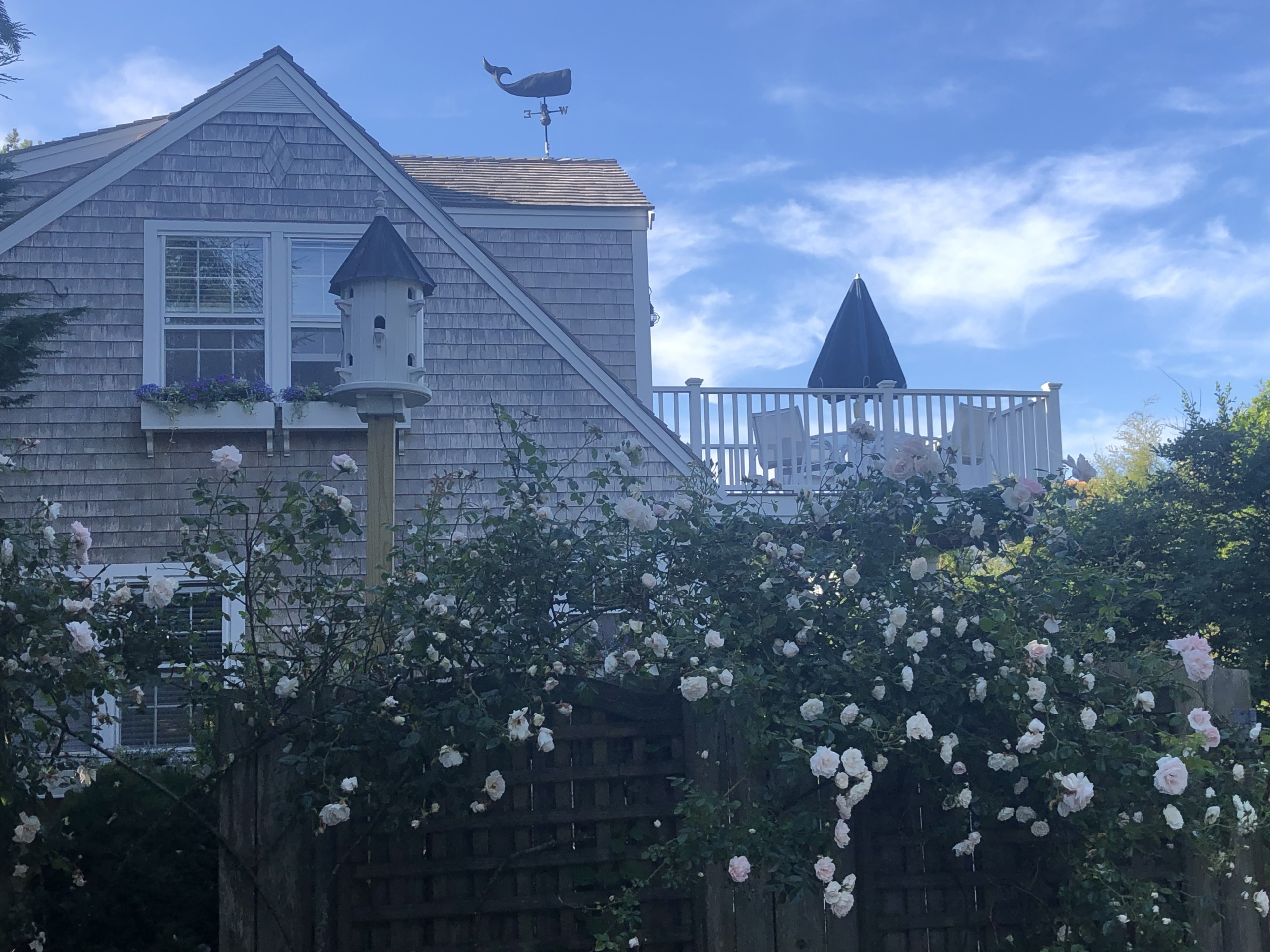 7 Crooked Ln Nantucket 19