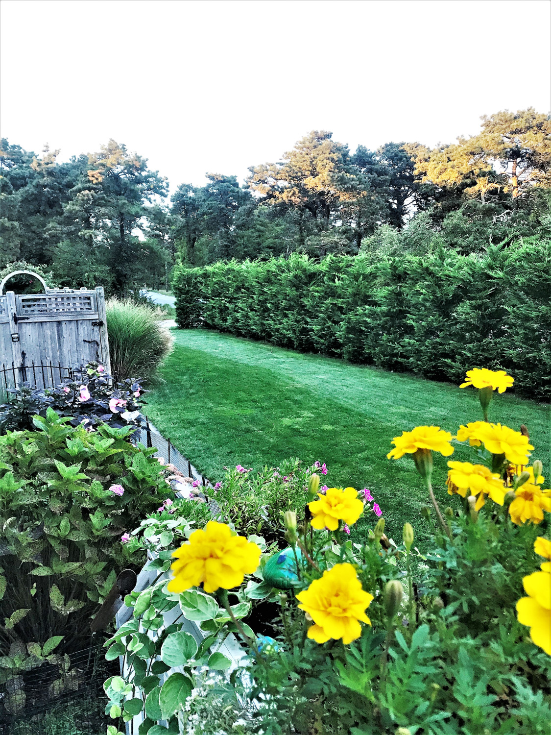 92 Old South Road Nantucket_4