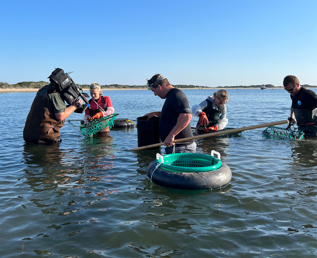press-chronicle-wcvb-boston-fisher-real-estate-nantucket