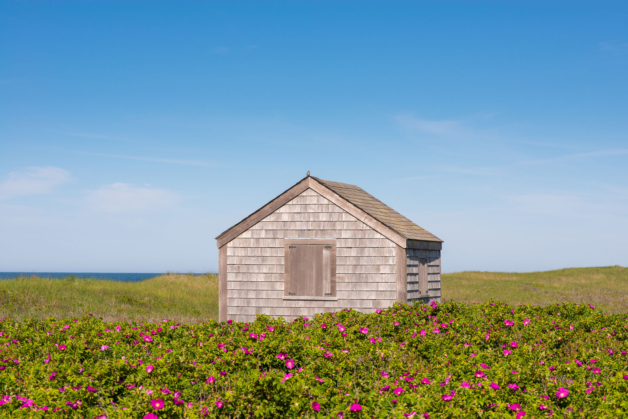 Reducing, Reusing & Recycling on an Island Fisher Real Estate Nantucket