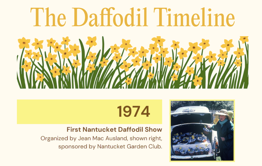 nantucket daffodil festival