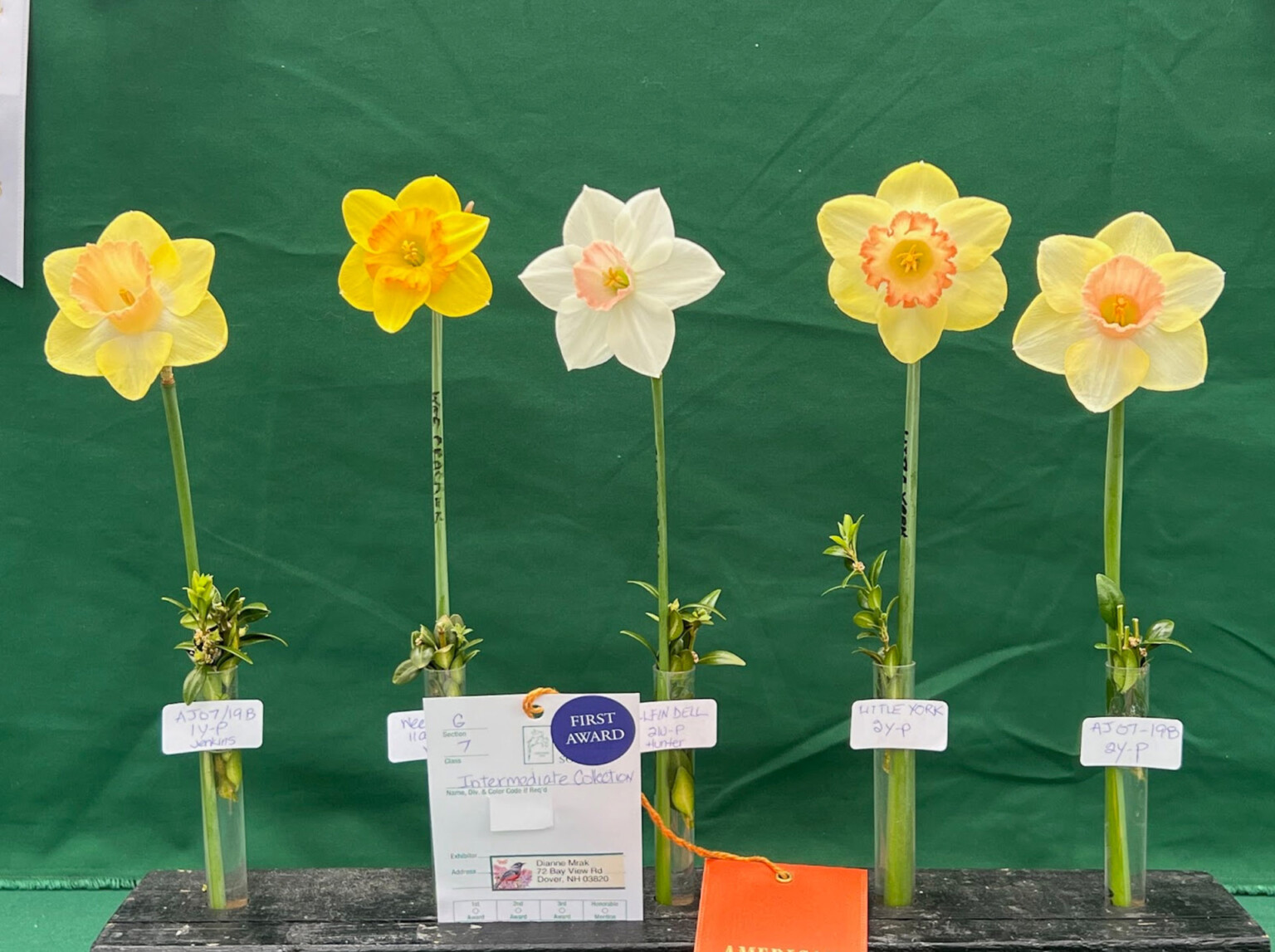 Roots of the Nantucket Daffodil Festival Weekend Fisher Real Estate Nantucket