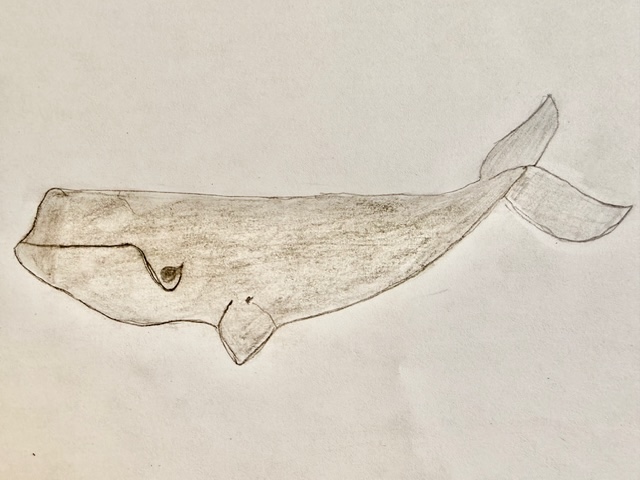 North Atlantic Right Whales