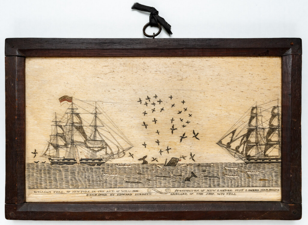 Scrimshaw Masterpiece