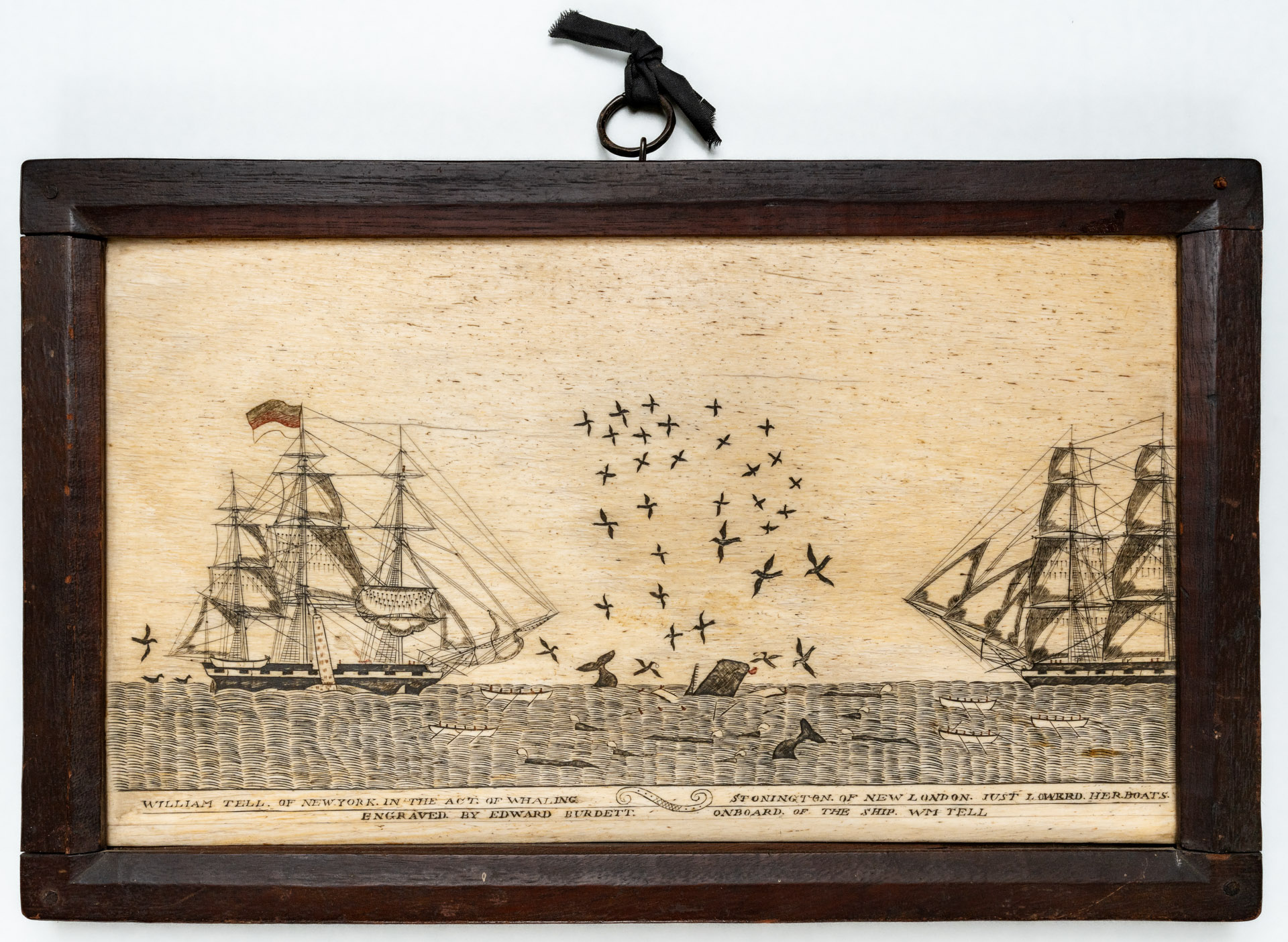 Scrimshaw Masterpiece