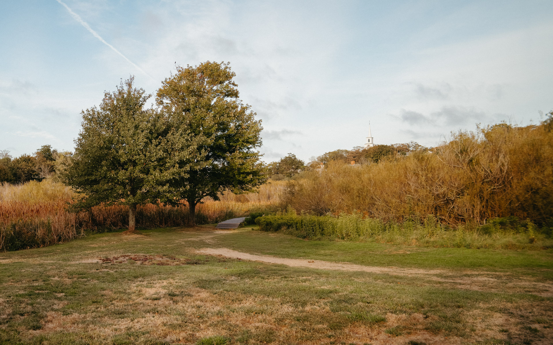 Lily Pond Park Nantucket