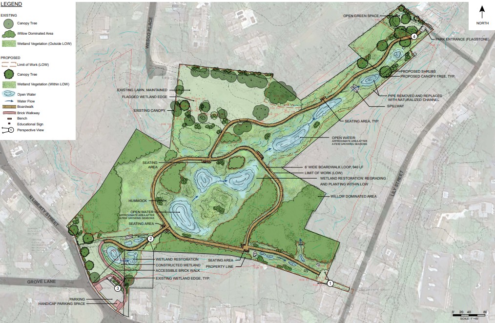 Lily Pond Park Project