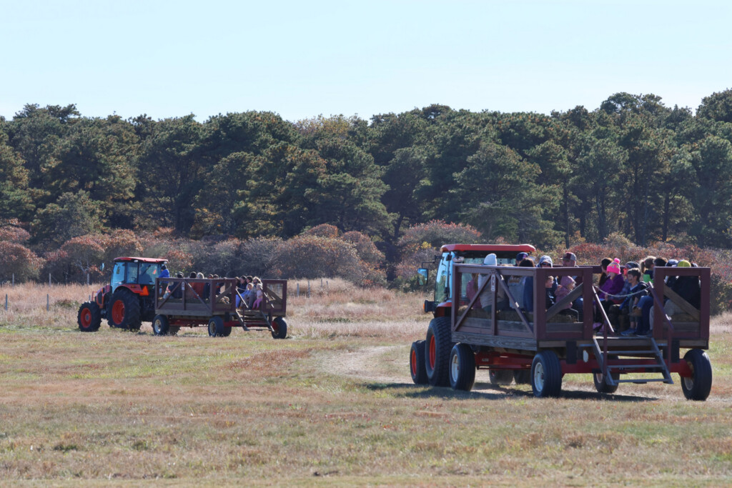 Fall Festival and Batacular Bike Race